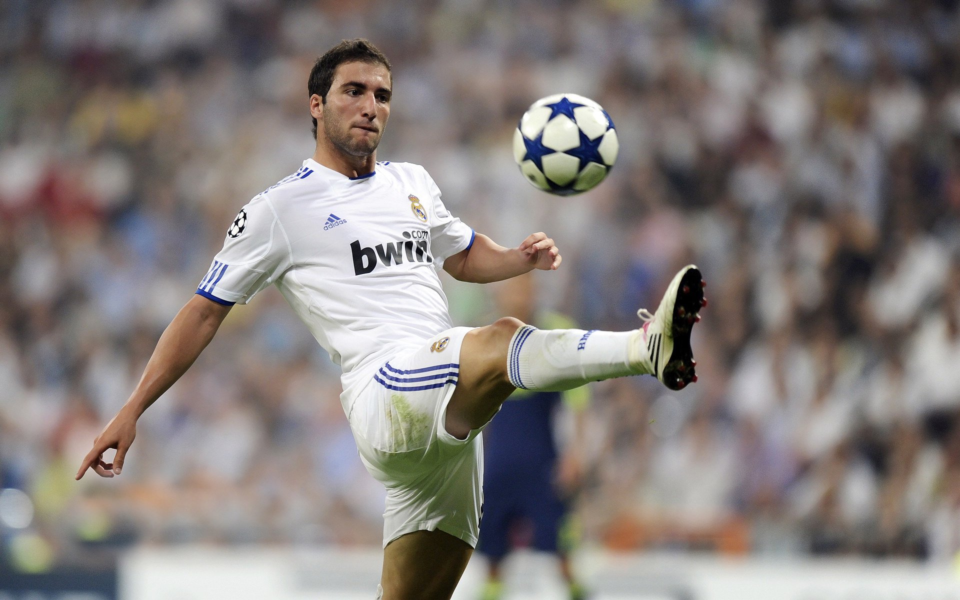 选手排位赛:谁将晋级总决赛?,排位赛冠军